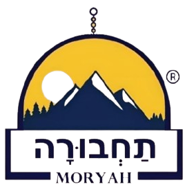 Logo 7